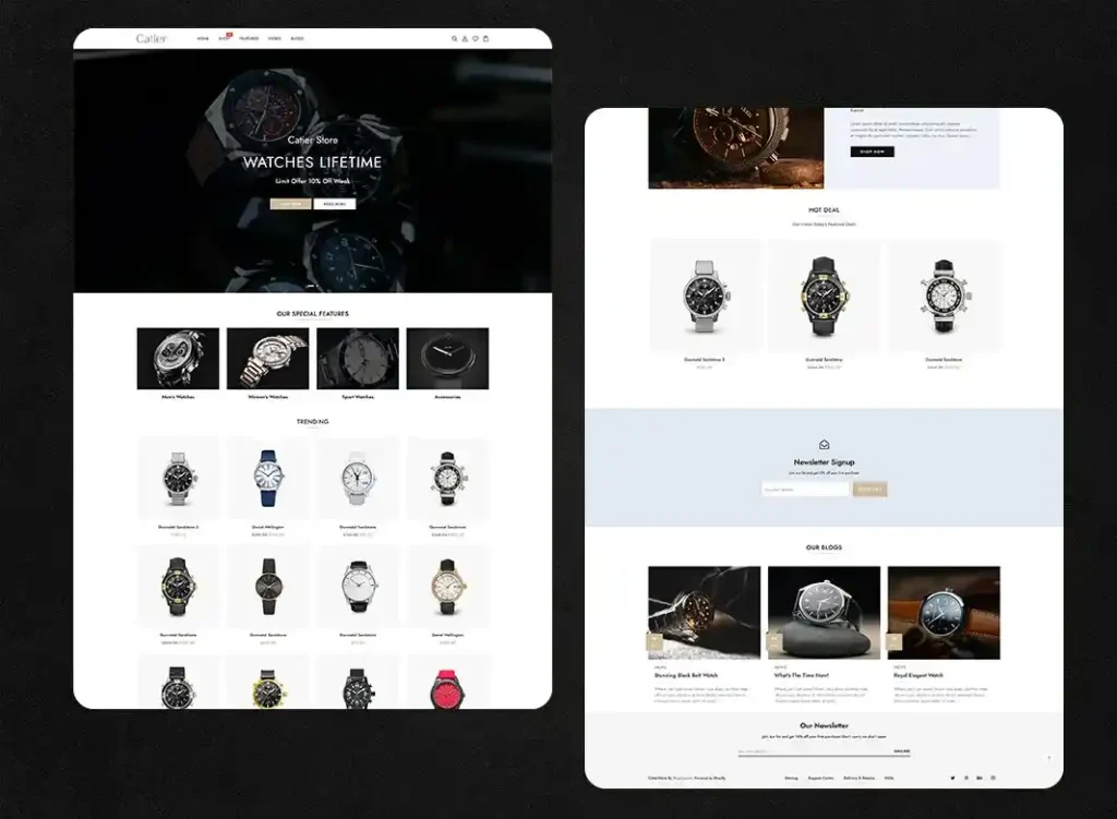 Shopify Store 4_2_11zon